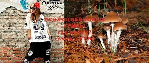 MESCALINE Кинешма
