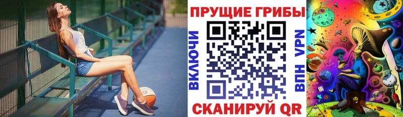 Псилоцибиновые грибы Psilocybine cubensis Купить закладки Ужур